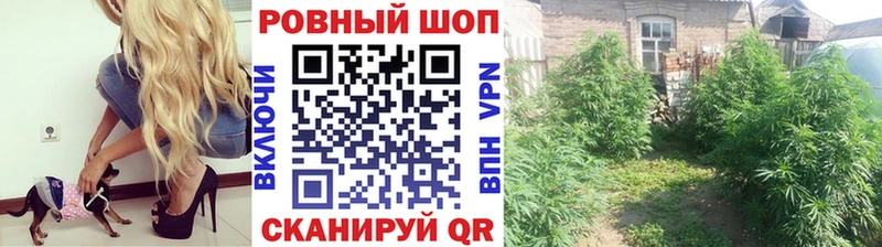 Купить наркотики цена Купино Бошки Шишки  Alpha-PVP  Меф мяу мяу 